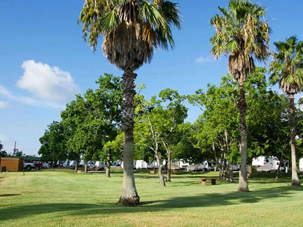 Campgrounds at HOUSTON EAST RV RESORT