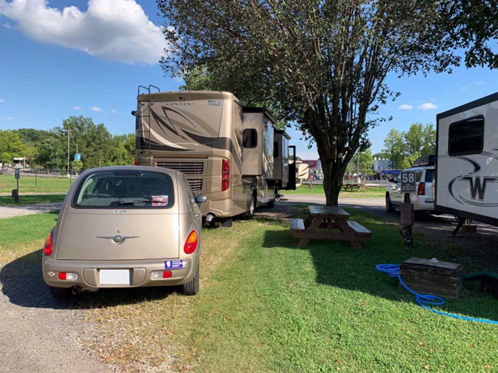 RVs parked under trees at MEMPHIS GRACELAND RV PARK & CAMPGROUND