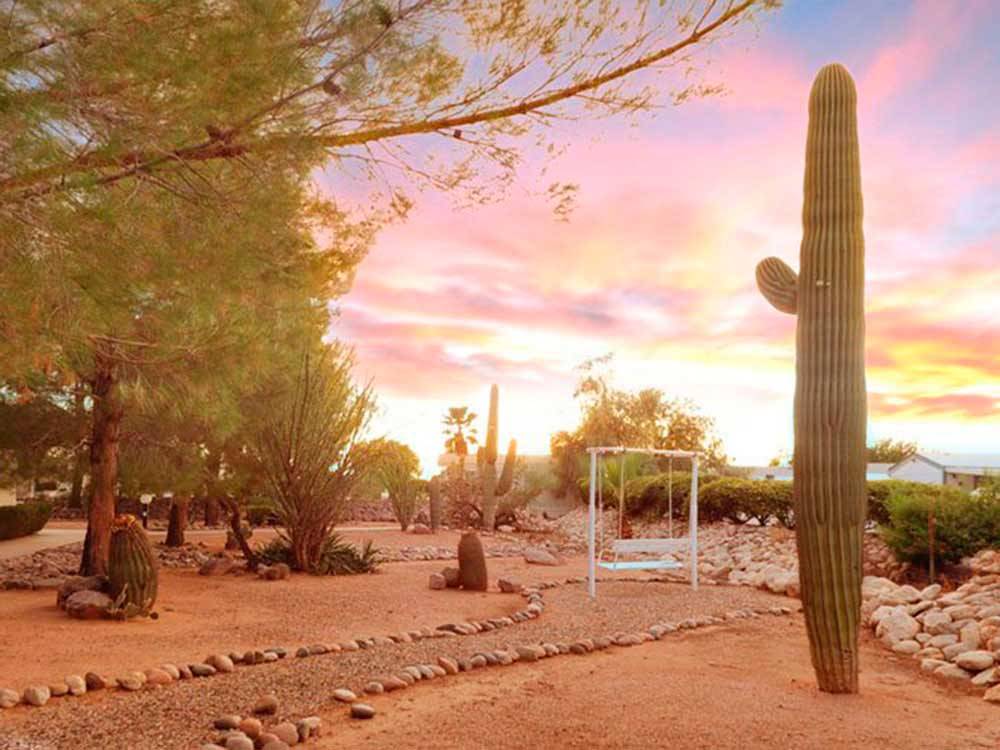 Saguaro cactus and swinging bench at sunset at MISSION VIEW RV RESORT