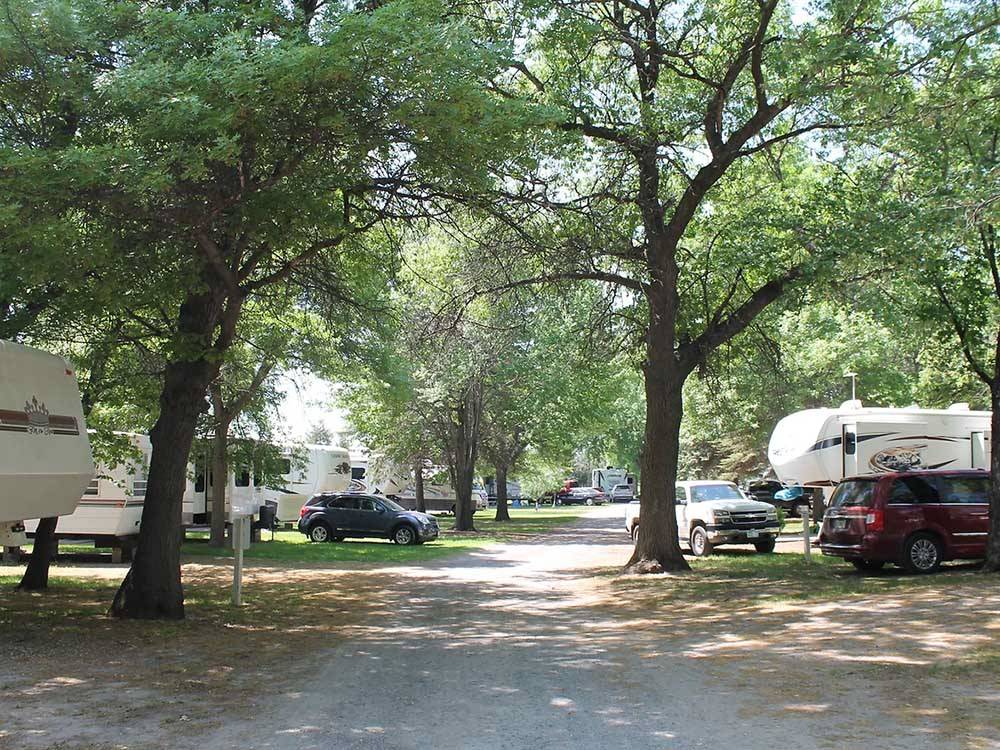 Tree-lined dirt road with campsites on each side at ST CLOUD CAMPGROUND & RV PARK