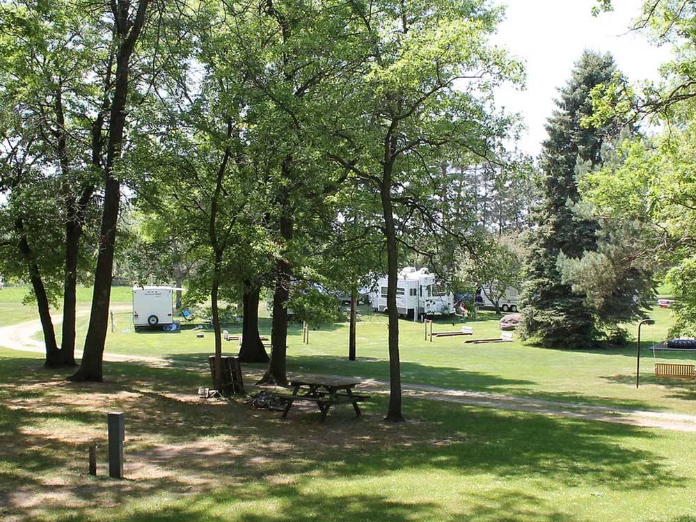 RVs parked in leafy campground with grass and tall trees at ST CLOUD CAMPGROUND & RV PARK
