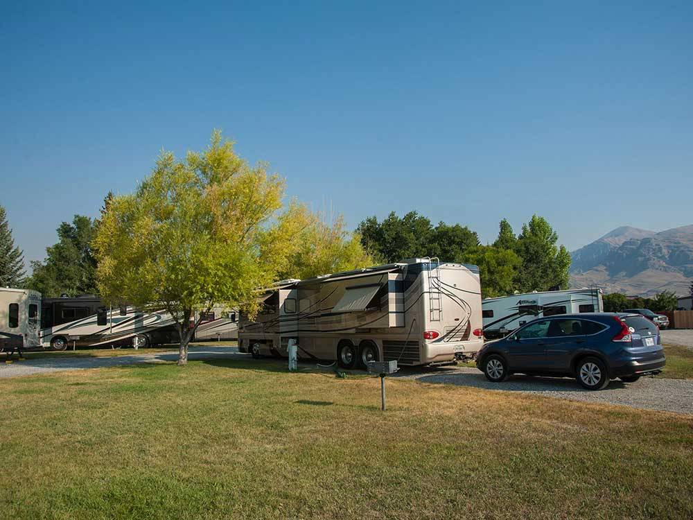 Large brown RV with blue Honda CRV parked behind it at MOUNTAIN VIEW RV PARK