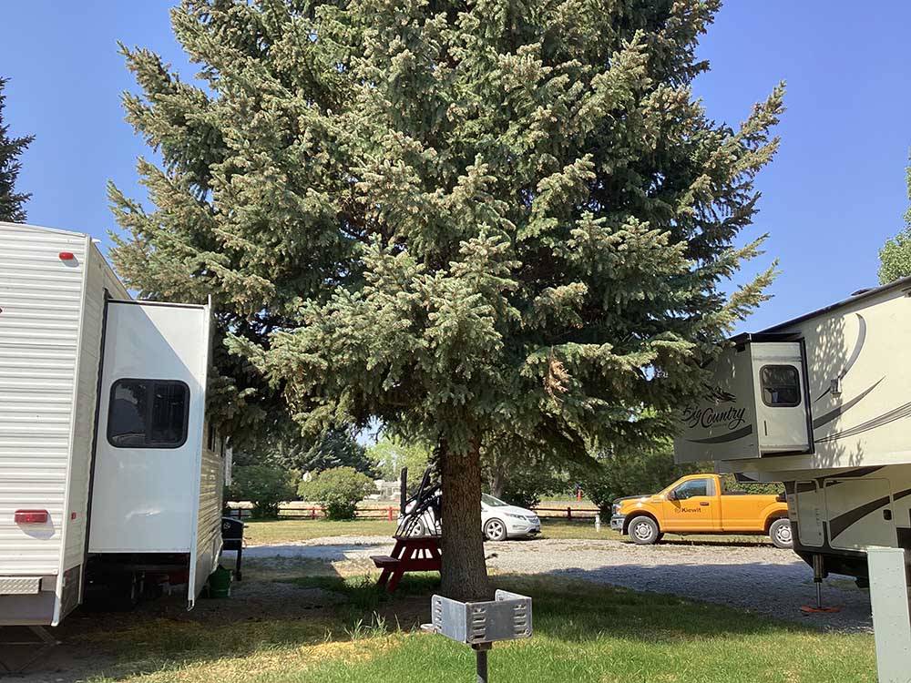 A BBQ at an RV site with a tree at MOUNTAIN VIEW RV PARK