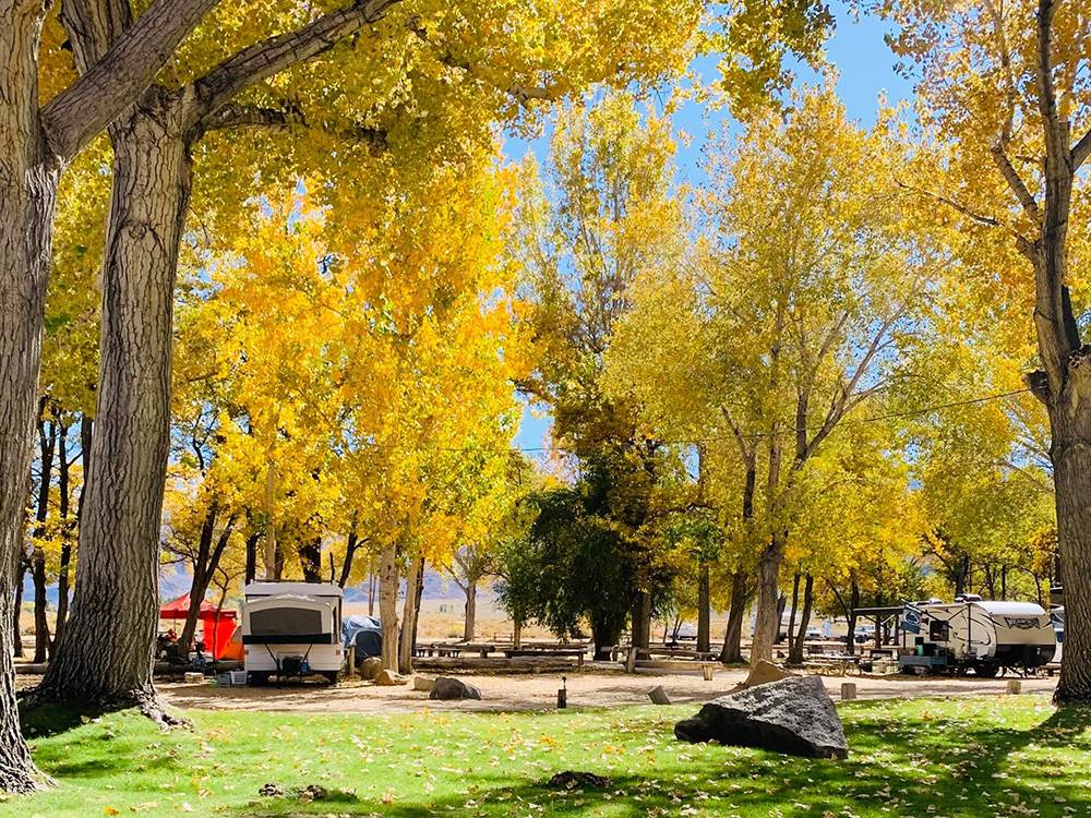 Autumn day at the park