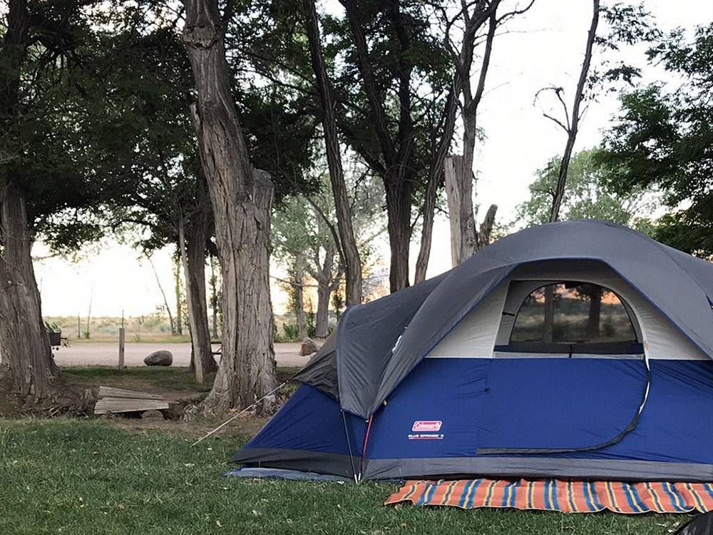 Tent site