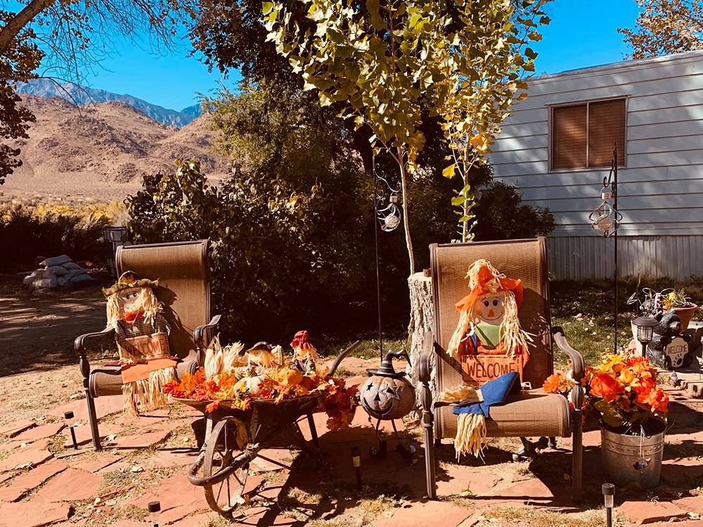 Halloween decor at sites
