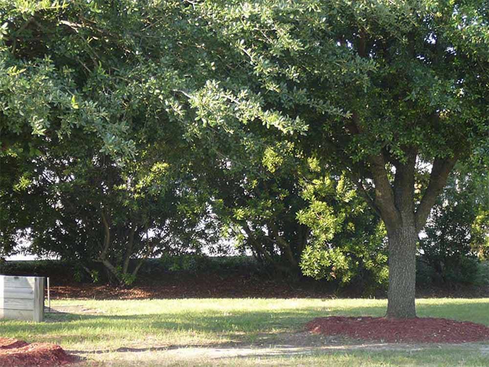 A grassy area with trees at BARNYARD RV PARK