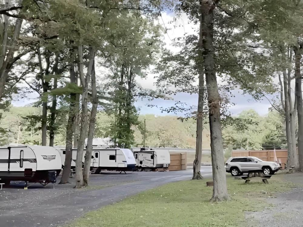 RVs in sites under the trees
