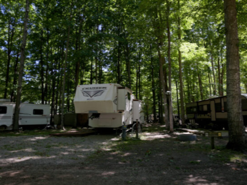 RVs in gravel sites at Timberline Campground
