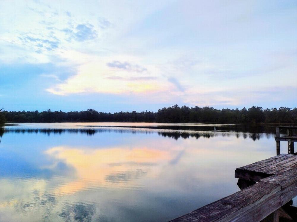 Lake view at site Horne Lake RV Park