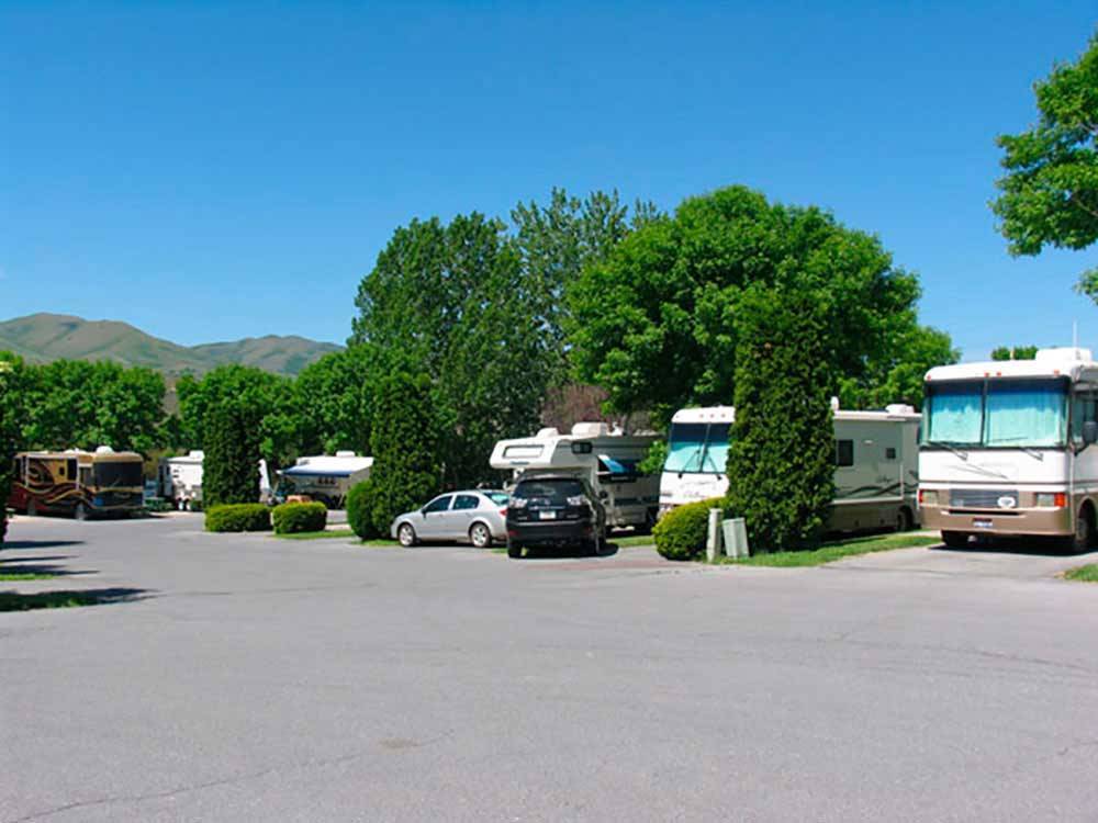 Paved road with RVs in sites at COWBOY RV PARK