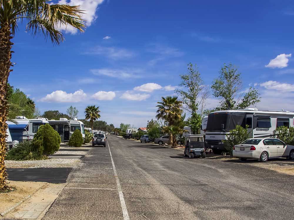 Paved road leading to campsites at TWENTYNINE PALMS RESORT RV PARK AND COTTAGES