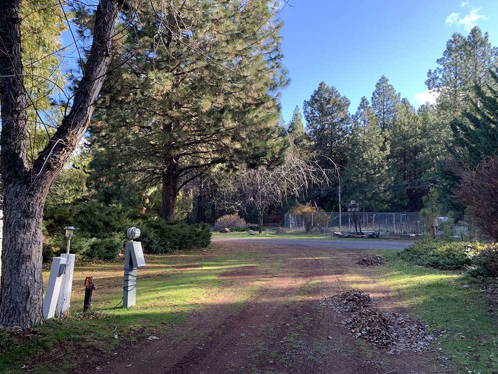 A dirt RV site with a tree at TRAILER LANE CAMPGROUND