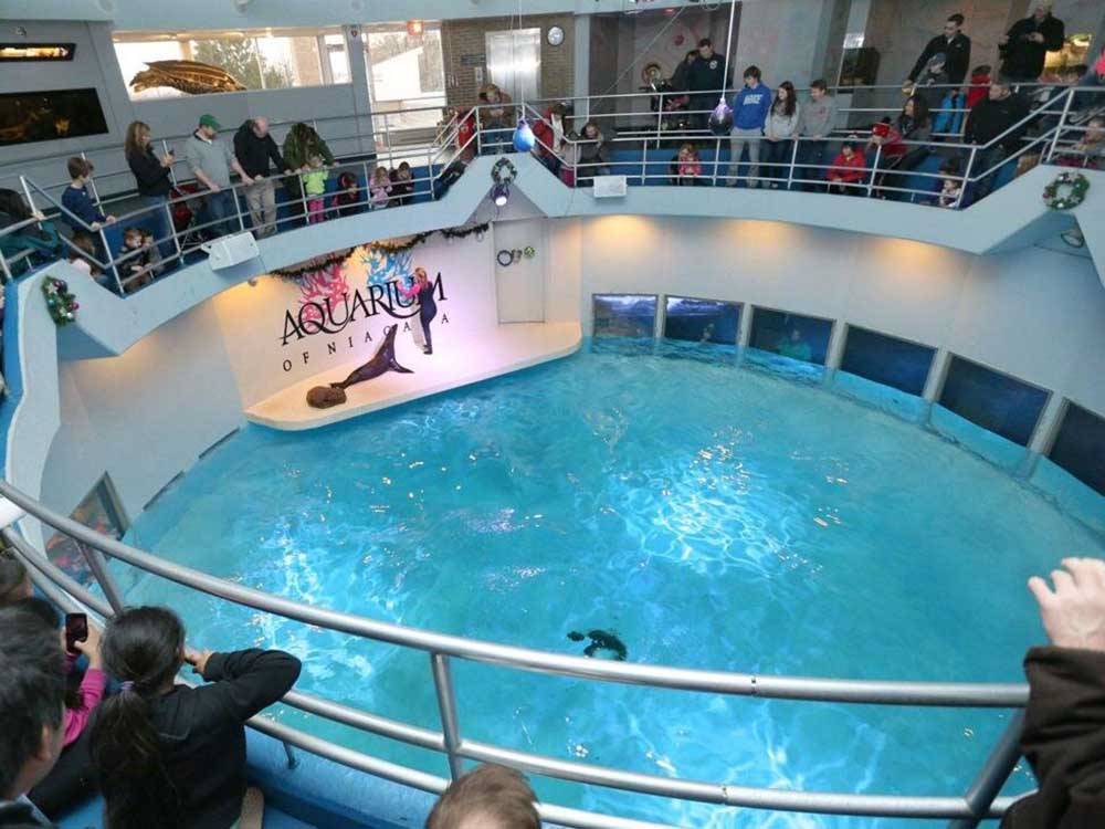Aquarium of Niagara near NIAGARA FALLS CAMPGROUND & LODGING