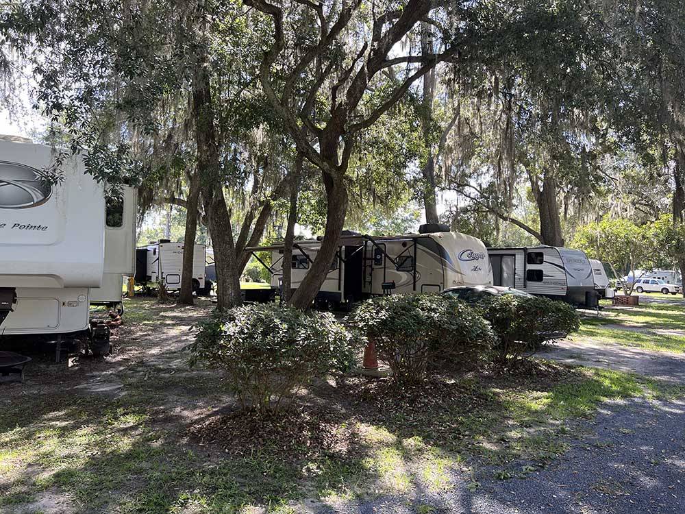 Motorhomes in shady campsites at KELLY'S COUNTRYSIDE RV PARK
