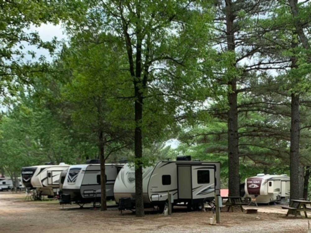 Towables among the trees at Ozark RV Park