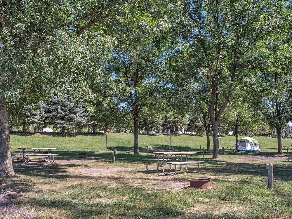 Shaded tent site