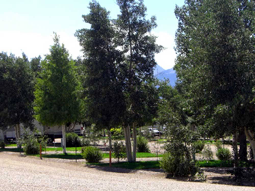 The gravel road with tall trees at GRAPE CREEK RV PARK CAMPGROUND & CABINS