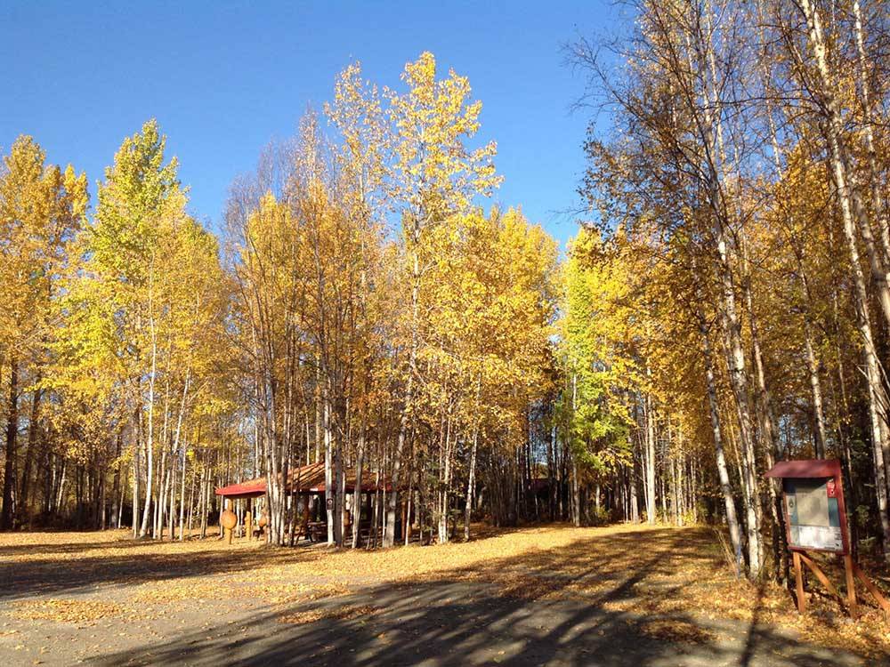 The colorful autumn trees around the pavilion at THREE BEARS TRAPPER CREEK INN & RV PARK