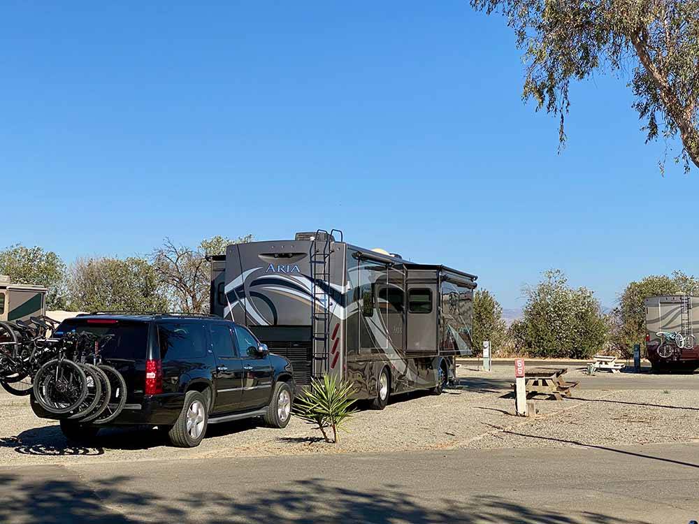 Travel trailers parked in gravel sites at ALMOND TREE OASIS RV PARK