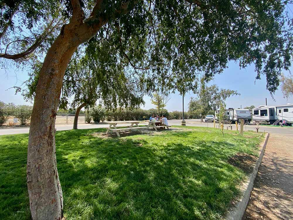 Shade tree with picnic table and RVs in distance at ALMOND TREE OASIS RV PARK