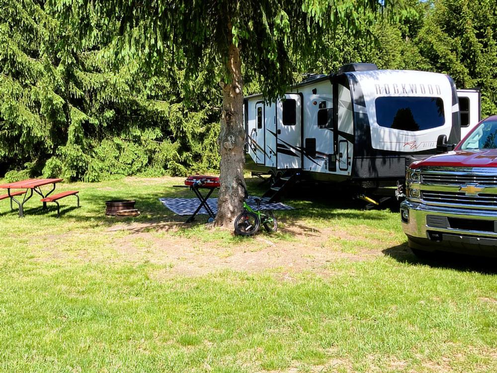 RV in shaded sit with picnic table at Kampvilla RV Park