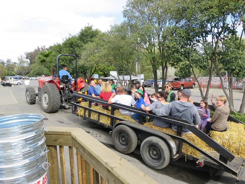 A group of people on a hayride