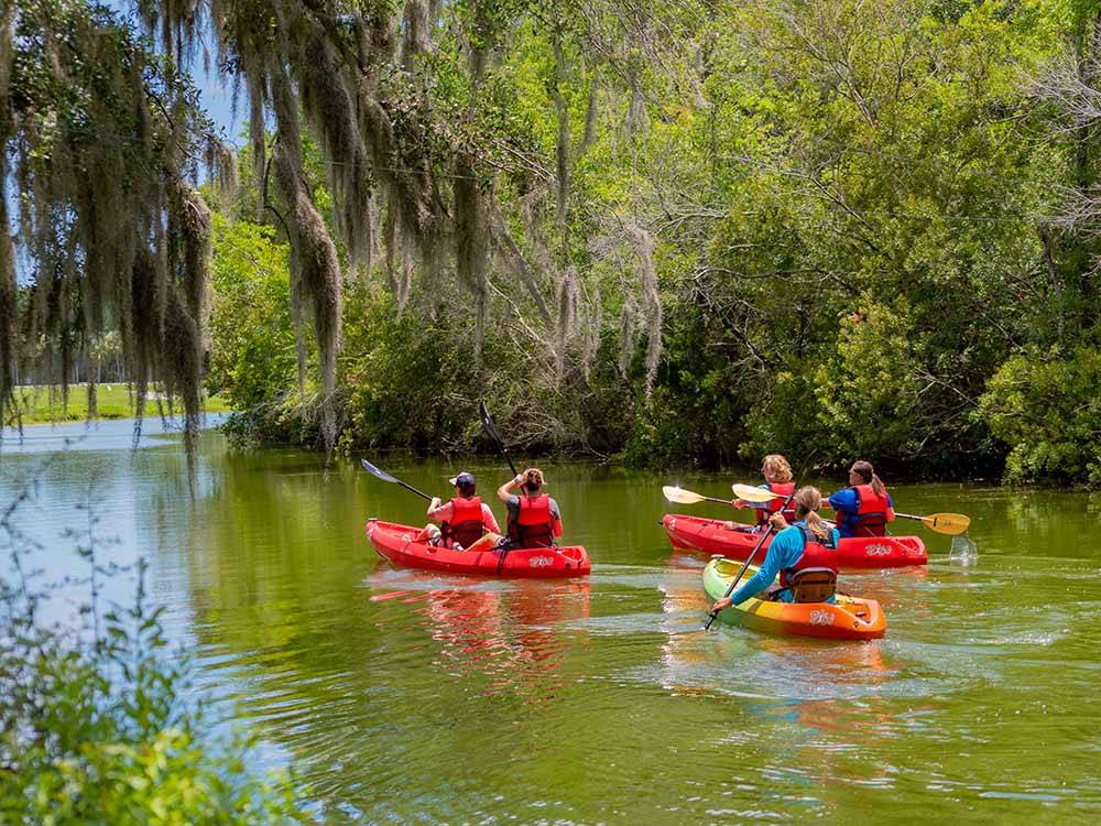People kayaking on the river at THE CAMPGROUND AT JAMES ISLAND COUNTY PARK