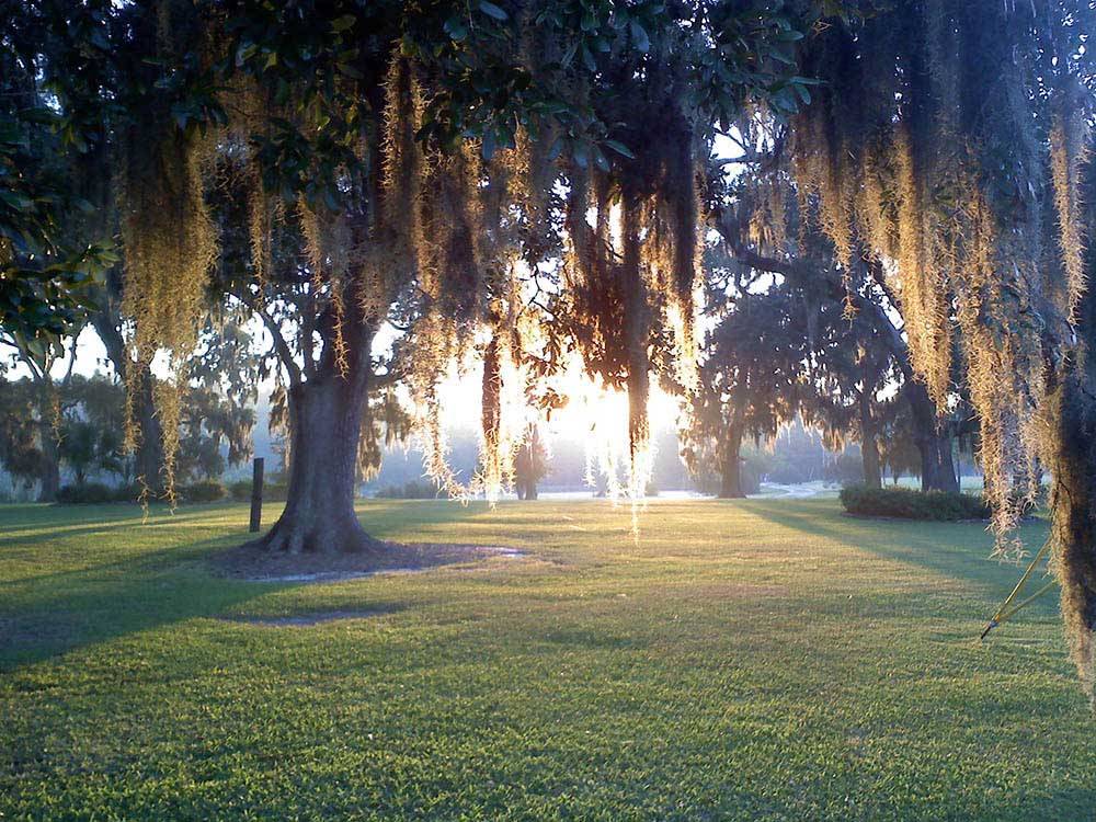 Oak Plantation Campground - Charleston campgrounds | Good Sam Club