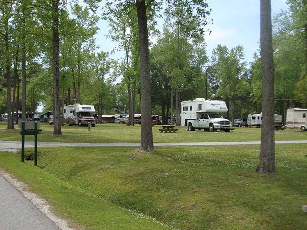 RVs parked on grassy areas at OAK PLANTATION CAMPGROUND