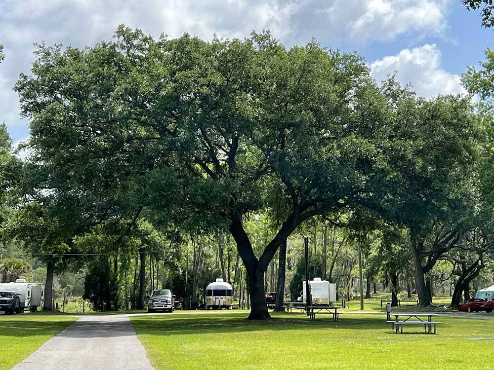 Travel trailers parked in RV sites at OAK PLANTATION CAMPGROUND