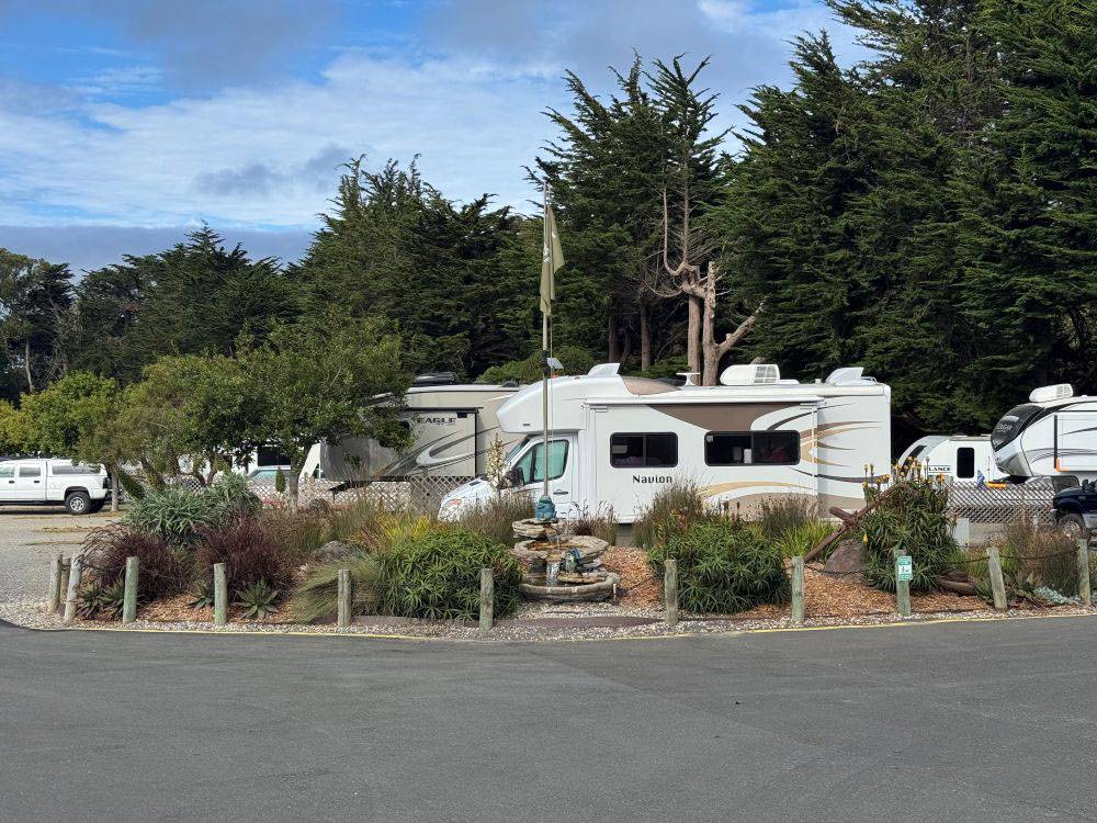 Various RVs parked in sites