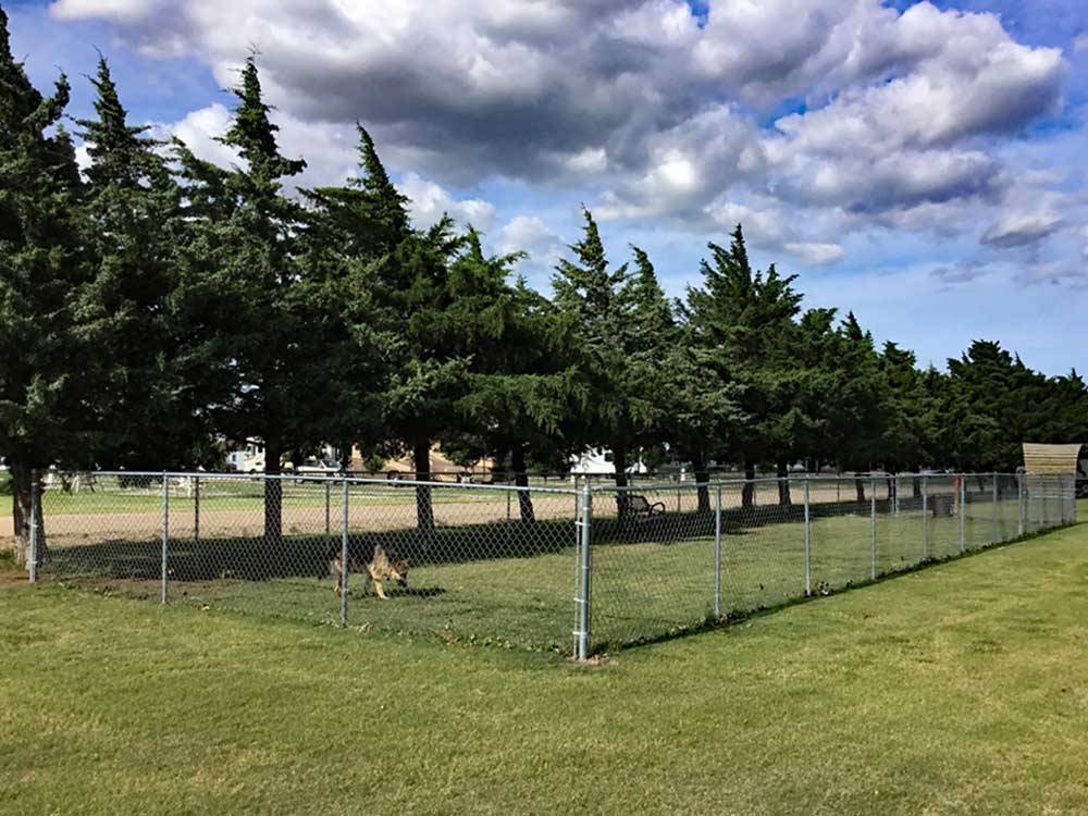 The fenced in pet area at TRIPLE 'J' RV PARK