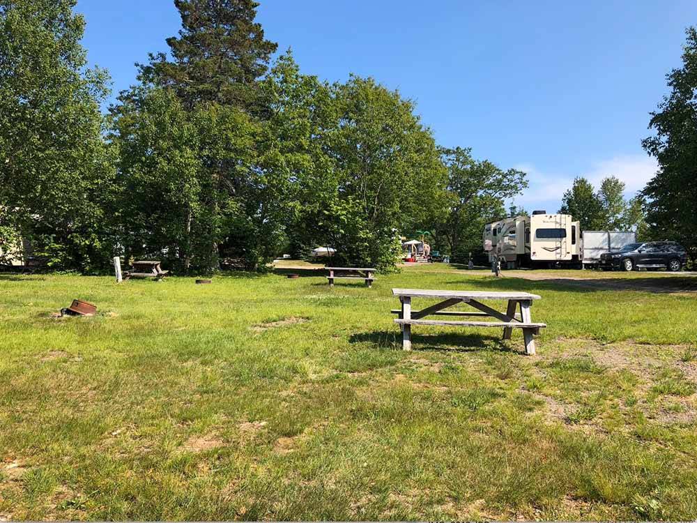 A group of grassy RV sites with picnic tables at HARDINGS POINT CAMPGROUND