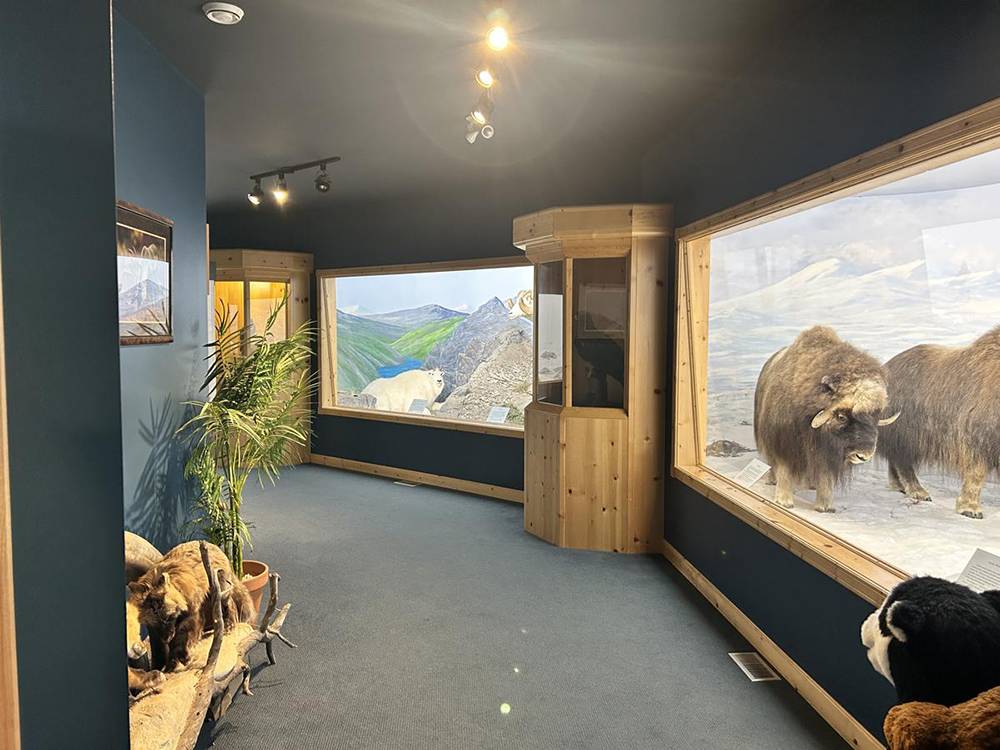 Northern wildlife museum on site