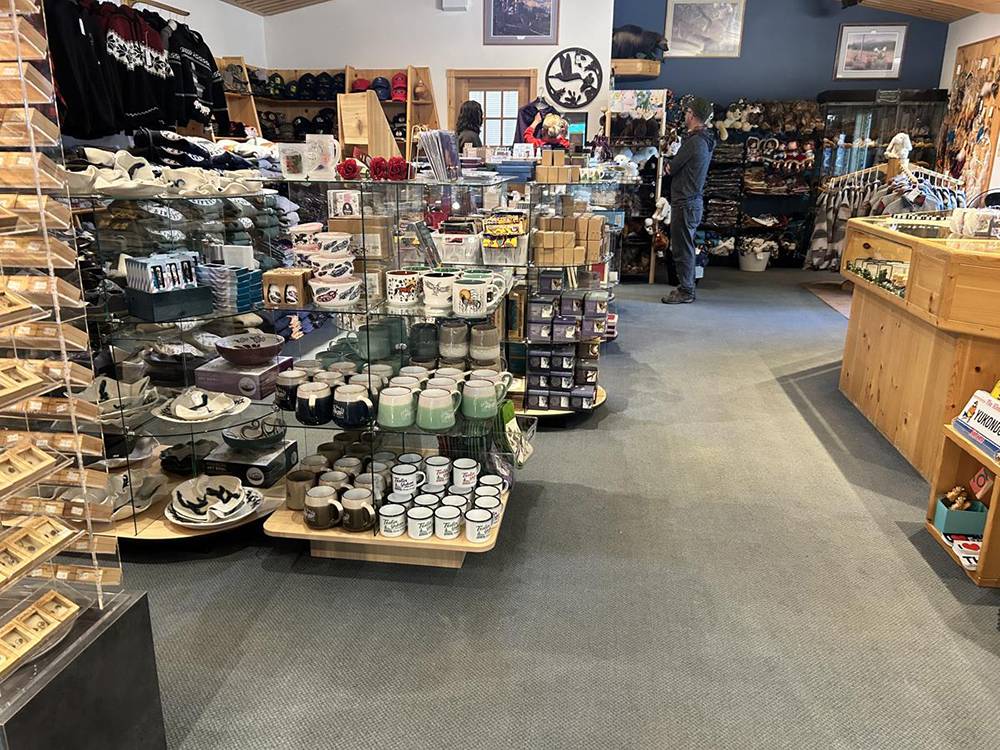 Souvenir shop in wildlife museum
