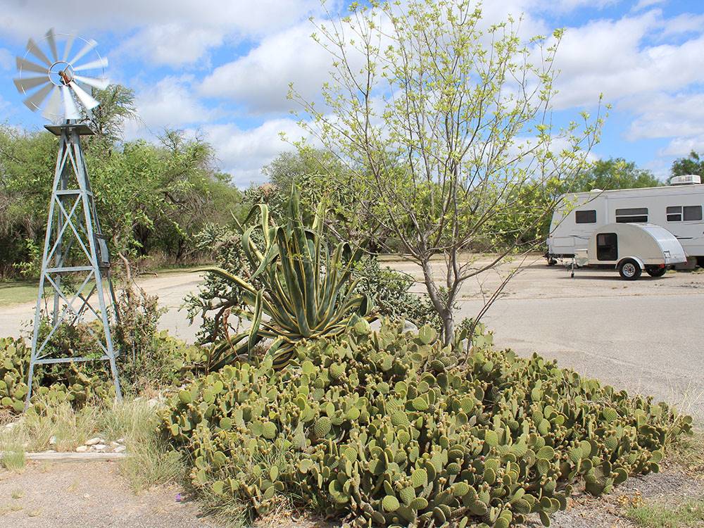 A bunch of cactus and a windmill at FORT CLARK SPRINGS RV PARK