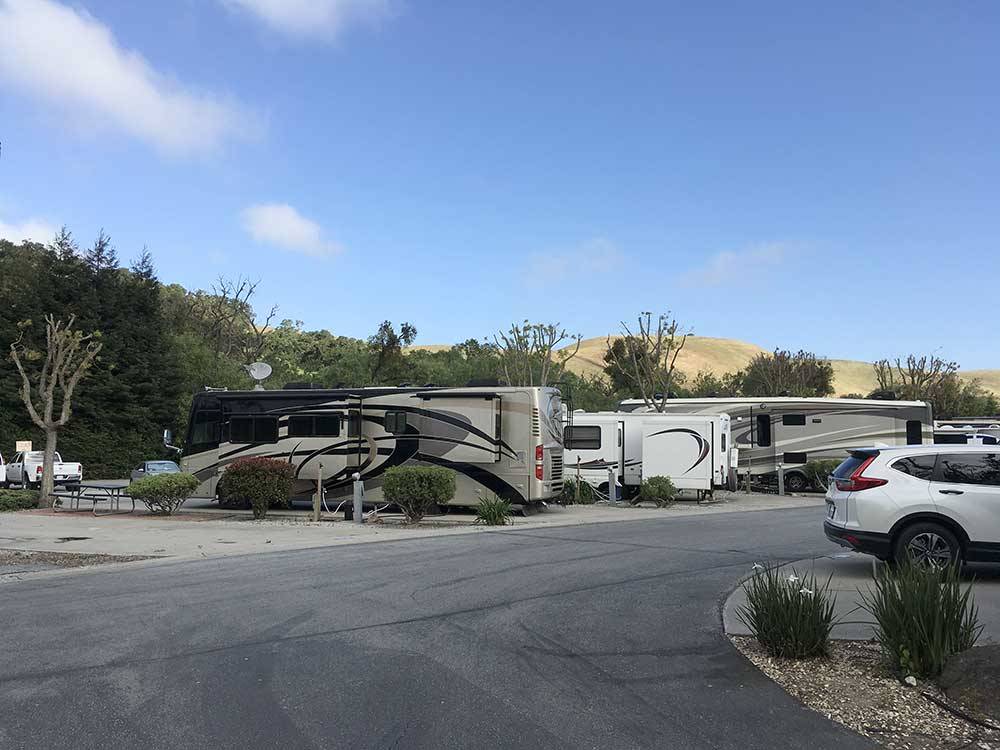 Paved road with RVs parked in sites at BETABEL RV PARK