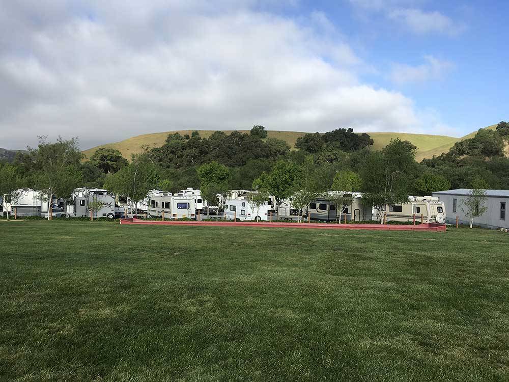 RVs in sites adjacent to large grass area at BETABEL RV PARK