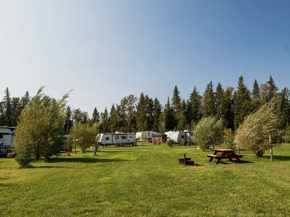 Grassy area