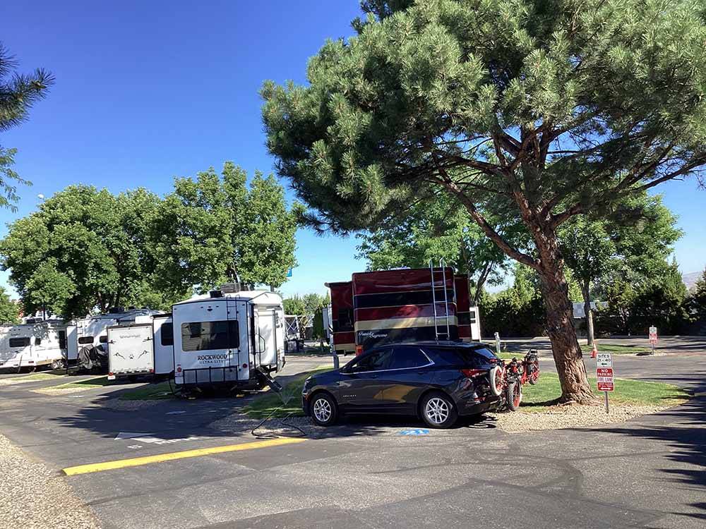 RVs pulled in at paved sites at MOUNTAIN VIEW RV PARK