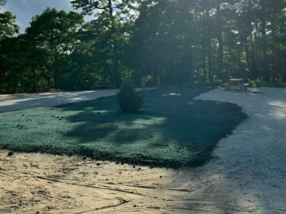 Open RV space next to panic table at Indianhead Resort