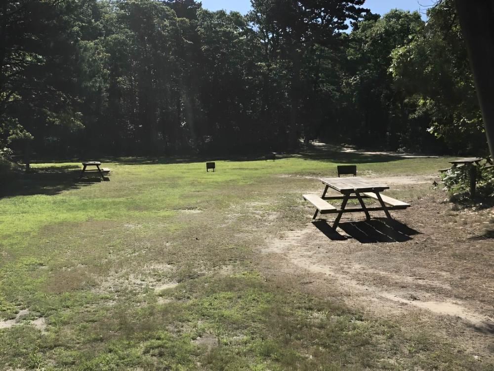 Panic tables with grass area at site Indianhead Resort