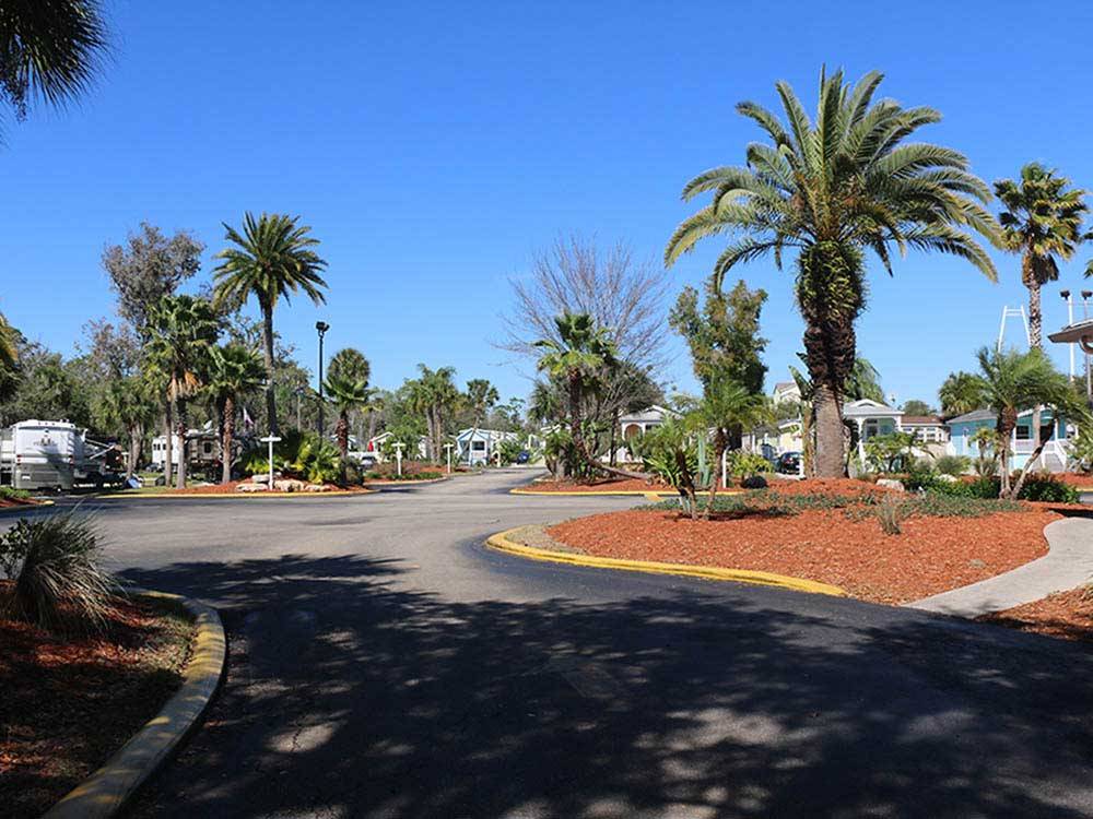 Road leading into campground at ENCORE TROPICAL PALMS