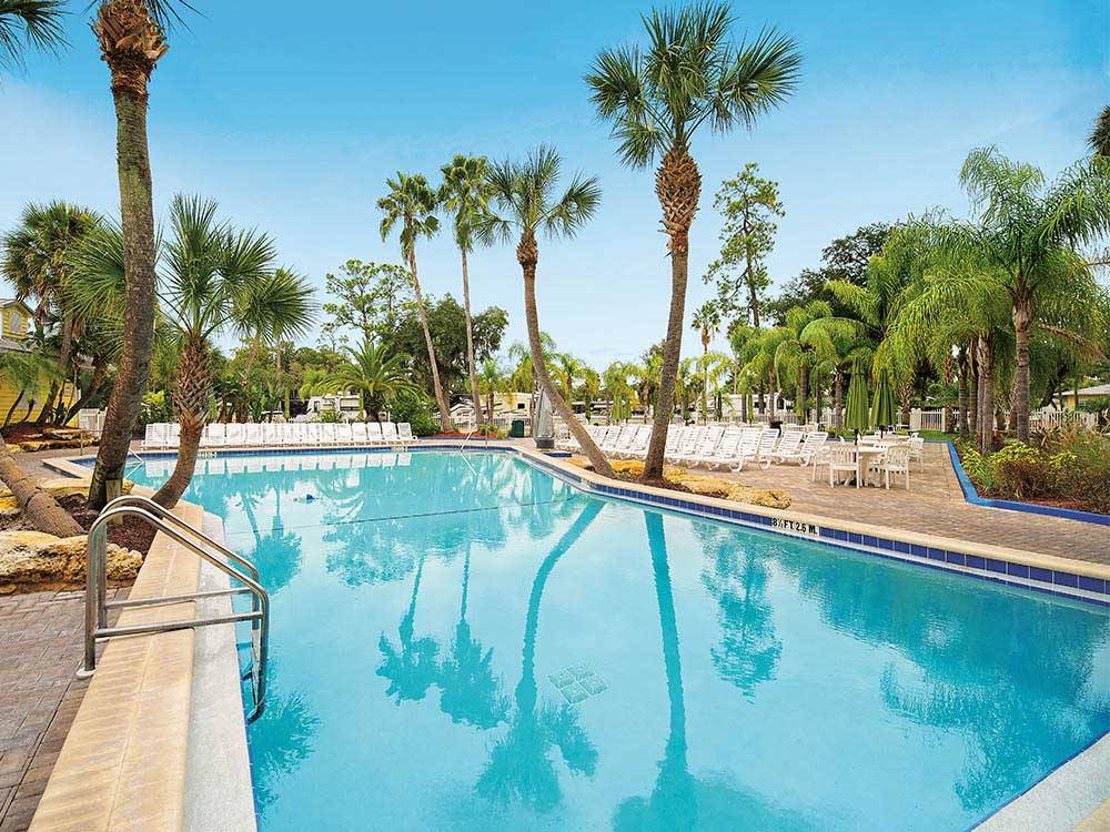 Community pool with palm trees surrounding it at ENCORE TROPICAL PALMS