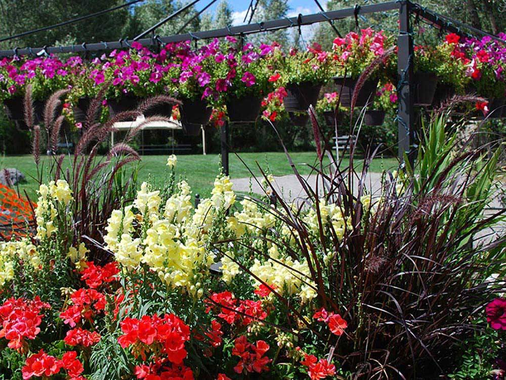 Beautiful and colorful flowers beside large lawned area at OUTDOORSY BAYFIELD