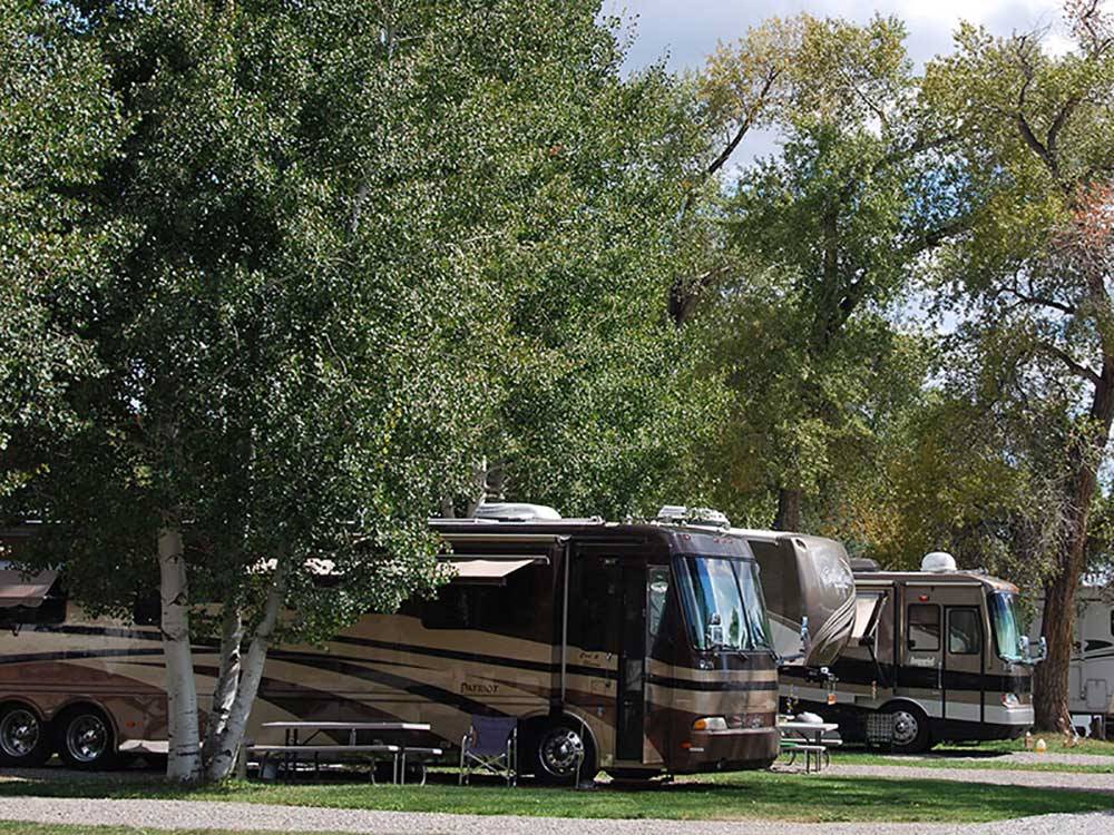 Large RV units parked along one another at OUTDOORSY BAYFIELD