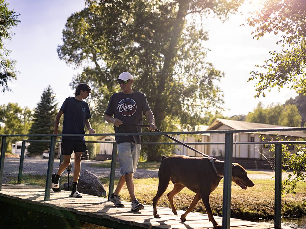 Campers walking a dog at OUTDOORSY BAYFIELD