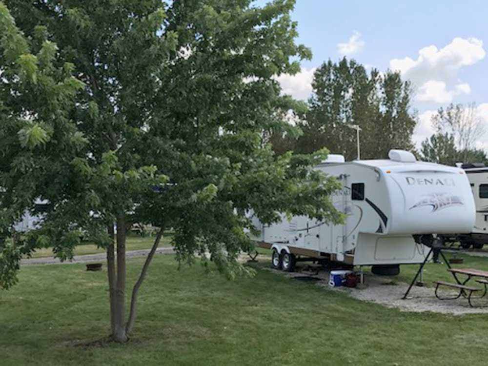 A tree next to an RV site at LEHMAN'S LAKESIDE RV RESORT