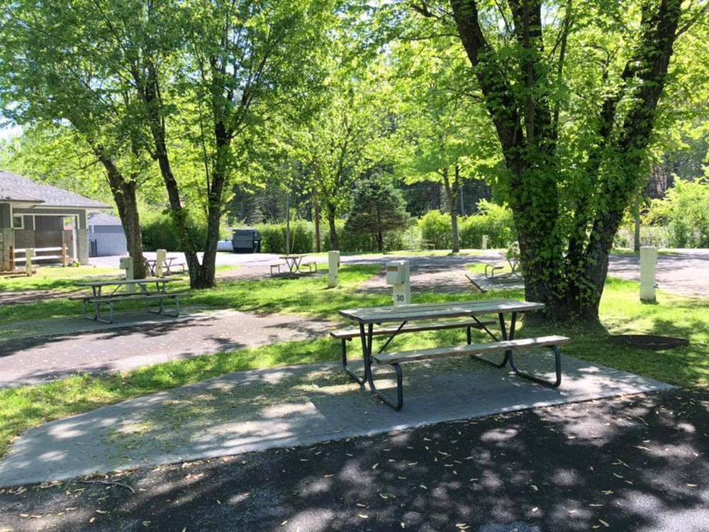 Shaded site with picnic table at FOOTHILLS RV PARK & CABINS